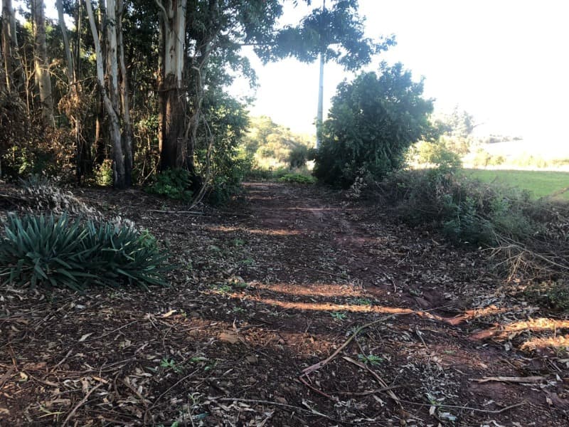 Foto 17 de 22: Terreno em leilão em Ernestina - RS, bairro Centro — LOTE 703 A FRAÇÃO IDEAL DE 10.000,00m² SOBRE UMA ÁREA DE TERRAS, com área de 146.250,00m², situada e