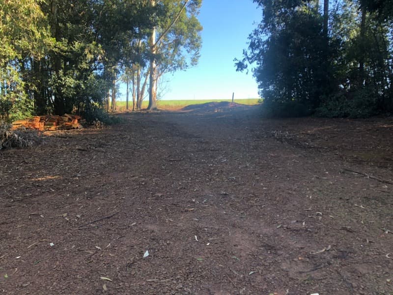 Foto 19 de 22: Terreno em leilão em Ernestina - RS, bairro Centro — LOTE 703 A FRAÇÃO IDEAL DE 10.000,00m² SOBRE UMA ÁREA DE TERRAS, com área de 146.250,00m², situada e