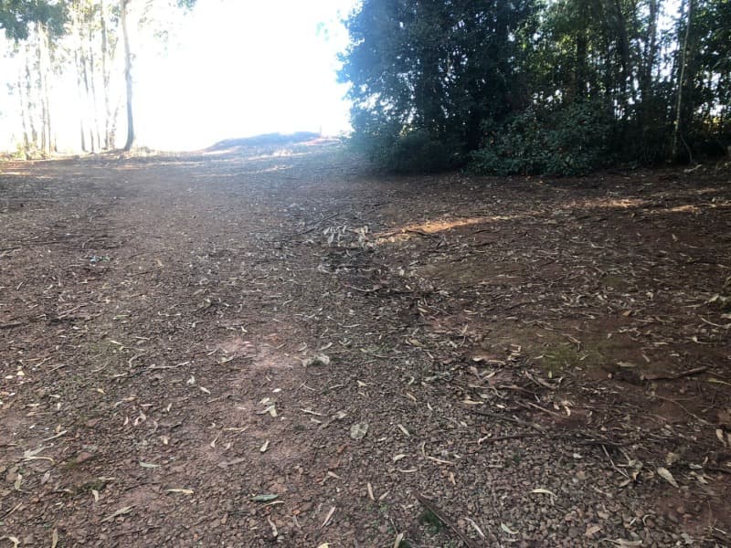 Foto 21 de 22: Terreno em leilão em Ernestina - RS, bairro Centro — LOTE 703 A FRAÇÃO IDEAL DE 10.000,00m² SOBRE UMA ÁREA DE TERRAS, com área de 146.250,00m², situada e