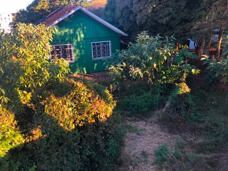 Foto 10 de 10: Terreno em leilão em Erechim - RS, bairro Bela Vista — LOTE 001 TERRENO URBANO, CONSISTENTE EM PARTE DA CHÁCARA Nº 15, do Polígono Norte, com área de 460,0