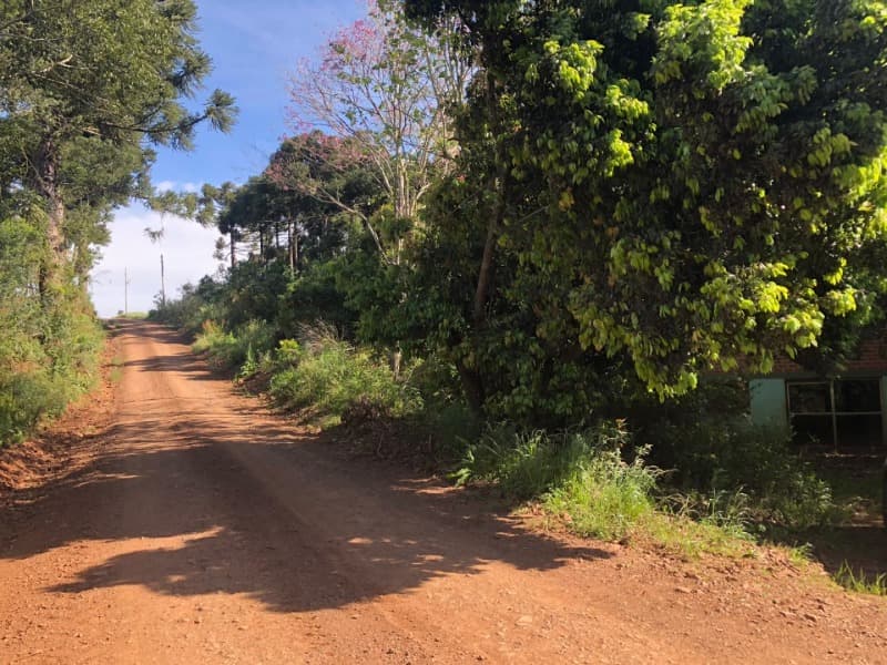 Foto 17 de 32: Area Rural em leilão em Centenário - RS — LOTE 001 UM IMÓVEL, constituído de PARTE DO LOTE RURAL Nº 10, da Linha Rio dos Índios, com área tota