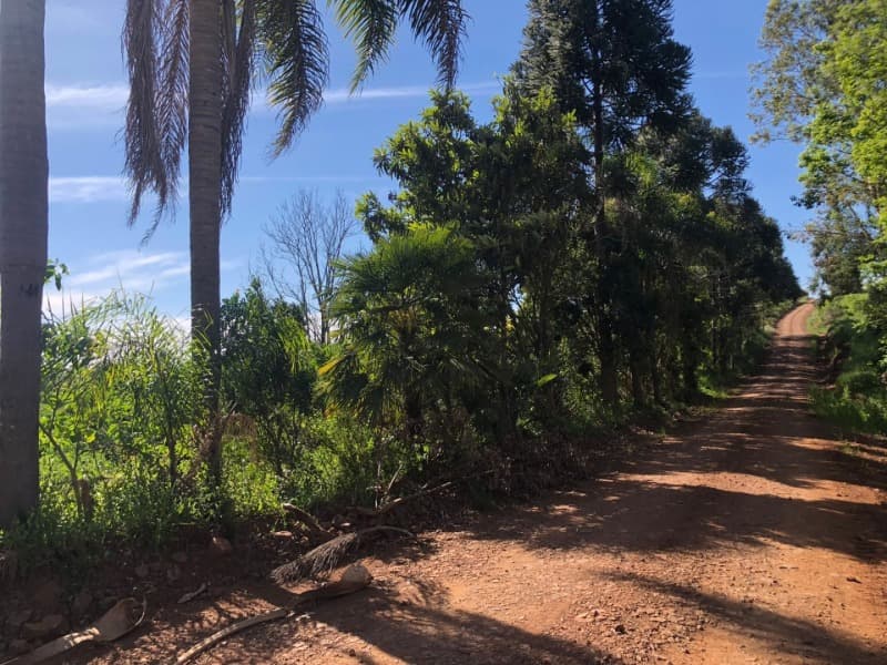 Foto 18 de 32: Area Rural em leilão em Centenário - RS — LOTE 001 UM IMÓVEL, constituído de PARTE DO LOTE RURAL Nº 10, da Linha Rio dos Índios, com área tota