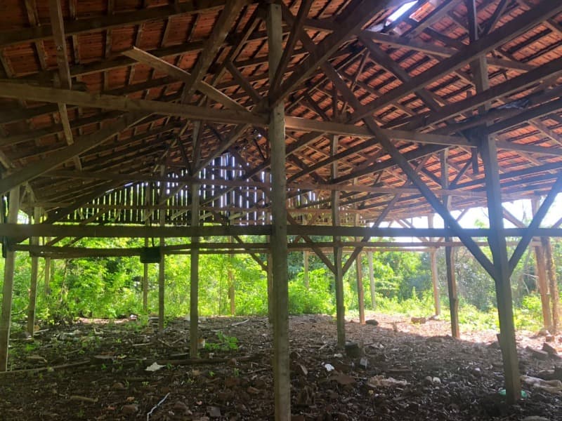 Foto 25 de 32: Area Rural em leilão em Centenário - RS — LOTE 001 UM IMÓVEL, constituído de PARTE DO LOTE RURAL Nº 10, da Linha Rio dos Índios, com área tota