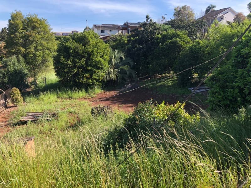 Foto 6 de 11: Terreno em leilão em Áurea - RS, bairro Centro — LOTE 001 TERRENO URBANO CONSISTENTE DA METADE LESTE DO LOTE URBANO Nº 23, da Quadra 13, com a área d