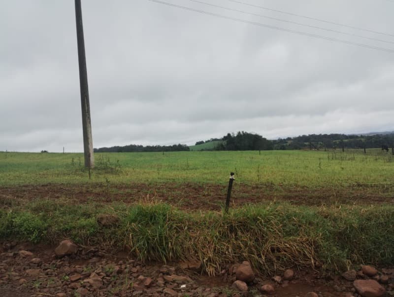 Foto 1 de 8: Area Rural em leilão em Redentora - RS — LOTE 003 A FRAÇÃO IDEAL DE 25.000,00m² SOBRE O LOTE RURAL nº 123 da 1ª Secção Tupi, com a área de 19