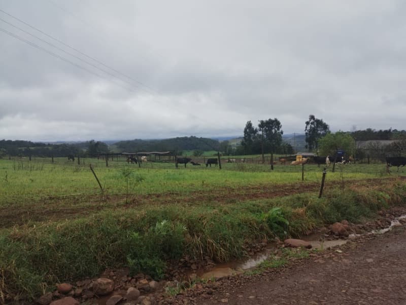Foto 7 de 8: Area Rural em leilão em Redentora - RS — LOTE 003 A FRAÇÃO IDEAL DE 25.000,00m² SOBRE O LOTE RURAL nº 123 da 1ª Secção Tupi, com a área de 19