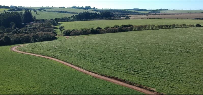 Foto 2 de 7: Terreno em leilão em Pontão - RS — LOTE 007 A FRAÇÃO IDEAL DE 38.535,98m² SOBRE UMA PARTE DE TERRAS DE CAMPO E CAPOEIRAS, com a área de
