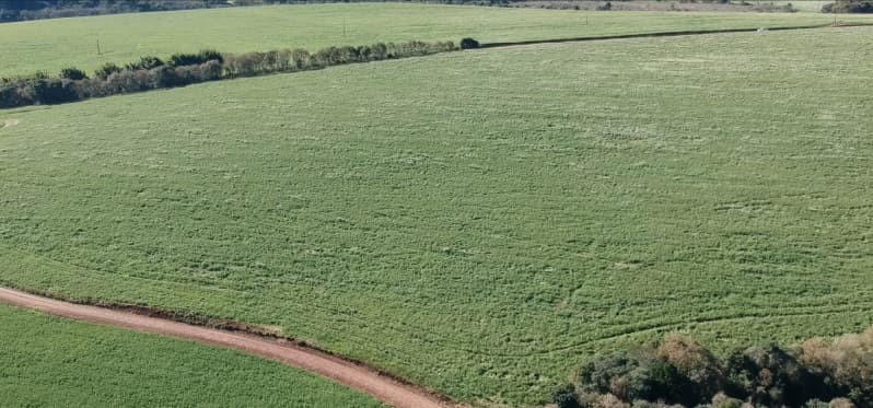 Foto 3 de 7: Terreno em leilão em Pontão - RS — LOTE 007 A FRAÇÃO IDEAL DE 38.535,98m² SOBRE UMA PARTE DE TERRAS DE CAMPO E CAPOEIRAS, com a área de