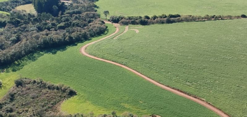 Foto 4 de 7: Terreno em leilão em Pontão - RS — LOTE 007 A FRAÇÃO IDEAL DE 38.535,98m² SOBRE UMA PARTE DE TERRAS DE CAMPO E CAPOEIRAS, com a área de