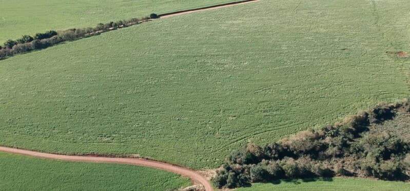 Foto 5 de 7: Terreno em leilão em Pontão - RS — LOTE 007 A FRAÇÃO IDEAL DE 38.535,98m² SOBRE UMA PARTE DE TERRAS DE CAMPO E CAPOEIRAS, com a área de