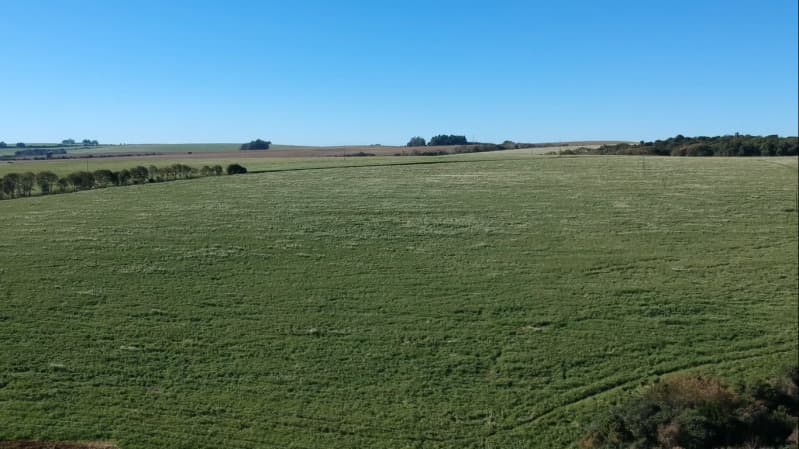 Foto 7 de 7: Terreno em leilão em Pontão - RS — LOTE 007 A FRAÇÃO IDEAL DE 38.535,98m² SOBRE UMA PARTE DE TERRAS DE CAMPO E CAPOEIRAS, com a área de