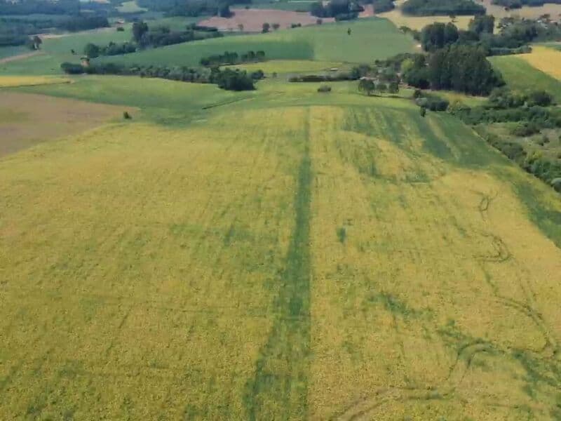 Foto 1 de 14: Area Rural em leilão em Áurea - RS — LOTE 008 OS DIREITOS E AÇÕES DA FRAÇÃO IDEAL DE 8.410,71m² SOBRE O LOTE RURAL Nº 178, com área total