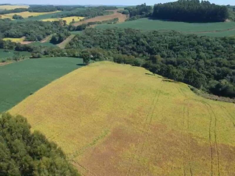 Foto 2 de 14: Area Rural em leilão em Áurea - RS — LOTE 008 OS DIREITOS E AÇÕES DA FRAÇÃO IDEAL DE 8.410,71m² SOBRE O LOTE RURAL Nº 178, com área total