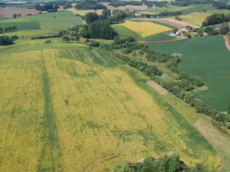 Foto 3 de 14: Area Rural em leilão em Áurea - RS — LOTE 008 OS DIREITOS E AÇÕES DA FRAÇÃO IDEAL DE 8.410,71m² SOBRE O LOTE RURAL Nº 178, com área total