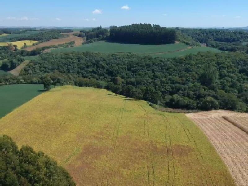 Foto 5 de 14: Area Rural em leilão em Áurea - RS — LOTE 008 OS DIREITOS E AÇÕES DA FRAÇÃO IDEAL DE 8.410,71m² SOBRE O LOTE RURAL Nº 178, com área total