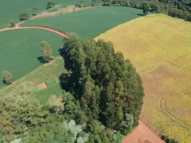 Foto 6 de 14: Area Rural em leilão em Áurea - RS — LOTE 008 OS DIREITOS E AÇÕES DA FRAÇÃO IDEAL DE 8.410,71m² SOBRE O LOTE RURAL Nº 178, com área total