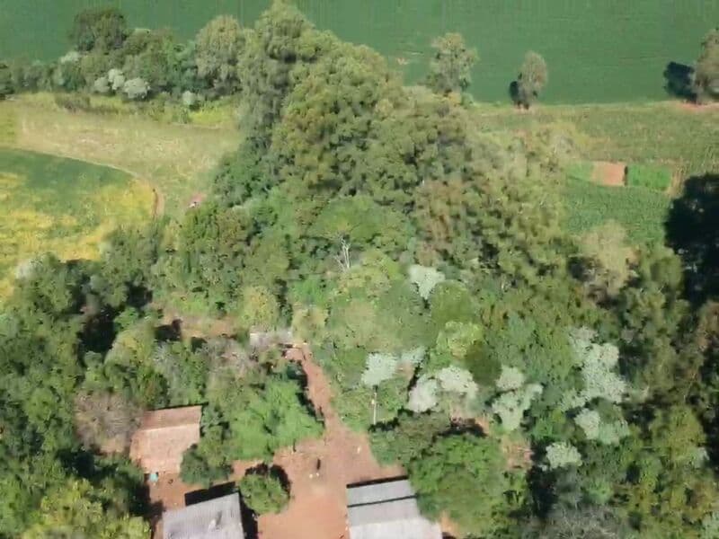 Foto 7 de 14: Area Rural em leilão em Áurea - RS — LOTE 008 OS DIREITOS E AÇÕES DA FRAÇÃO IDEAL DE 8.410,71m² SOBRE O LOTE RURAL Nº 178, com área total