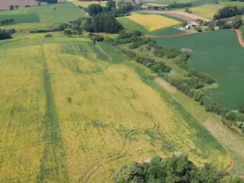 Foto 8 de 14: Area Rural em leilão em Áurea - RS — LOTE 008 OS DIREITOS E AÇÕES DA FRAÇÃO IDEAL DE 8.410,71m² SOBRE O LOTE RURAL Nº 178, com área total