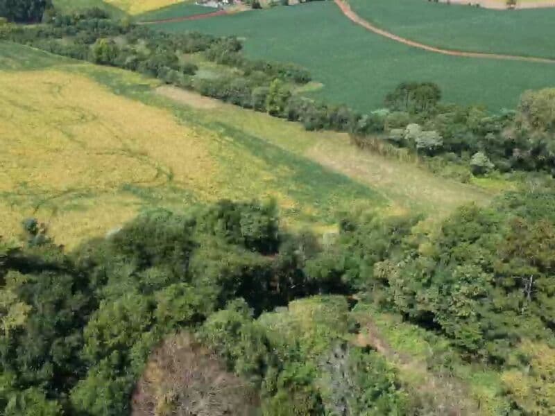 Foto 11 de 14: Area Rural em leilão em Áurea - RS — LOTE 008 OS DIREITOS E AÇÕES DA FRAÇÃO IDEAL DE 8.410,71m² SOBRE O LOTE RURAL Nº 178, com área total