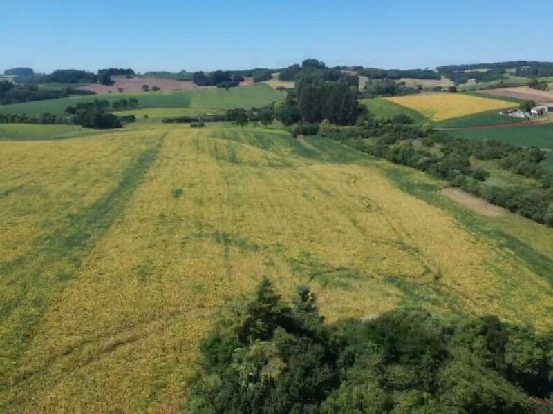 Foto 12 de 14: Area Rural em leilão em Áurea - RS — LOTE 008 OS DIREITOS E AÇÕES DA FRAÇÃO IDEAL DE 8.410,71m² SOBRE O LOTE RURAL Nº 178, com área total