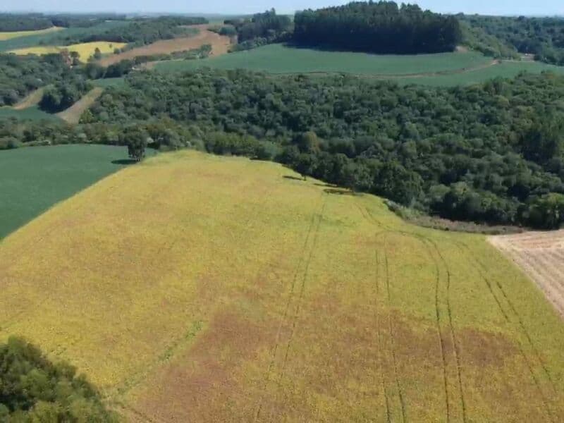 Foto 14 de 14: Area Rural em leilão em Áurea - RS — LOTE 008 OS DIREITOS E AÇÕES DA FRAÇÃO IDEAL DE 8.410,71m² SOBRE O LOTE RURAL Nº 178, com área total