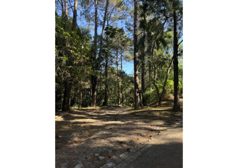 Foto 2 de 4: Terreno em leilão em Cotia - SP, bairro Morro Grande — LOTE 001 Direitos sobre Terreno de 889,05m² no Cond. Granja Carneiro Vianna em Cotia/SP