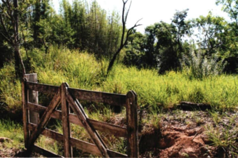 Foto 5 de 5: Terreno em leilão em Itu - SP, bairro Tapera Grande — LOTE 001 Terreno rural de 3,63ha em Itu/SP