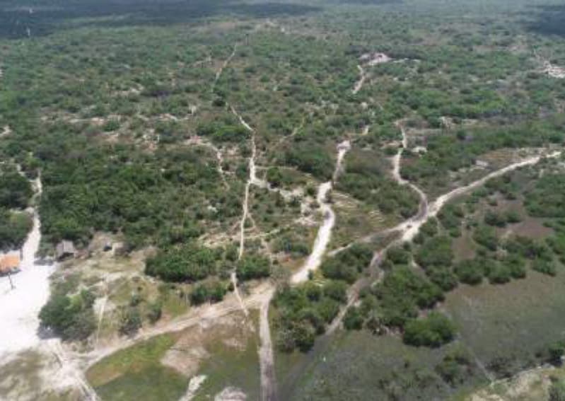 Foto 1 de 6: Area Rural em leilão em Belágua - MA — LOTE 001 Uma Gleba de Terras de 10.000.ha em Belágua/MA