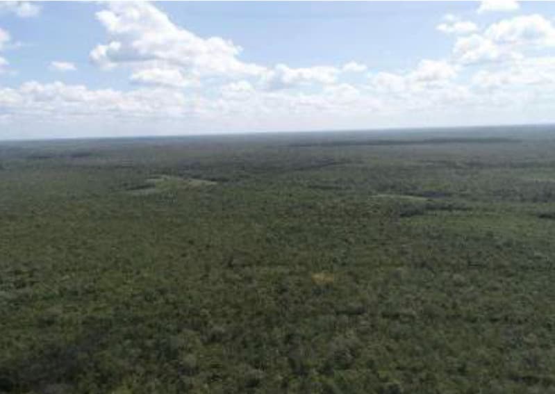 Foto 1 de 5: Area Rural em leilão em Belágua - MA — LOTE 002 Uma Gleba de Terras "Solidade" com 3.619.80ha em Belágua/MA
