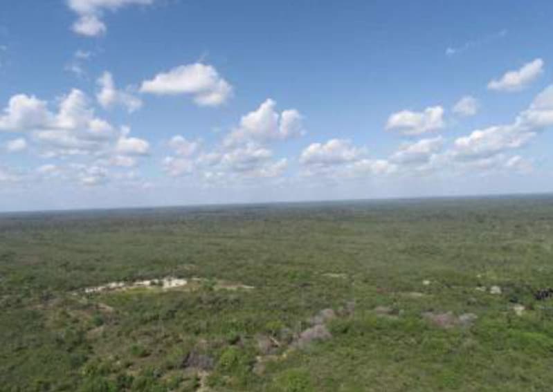 Foto 1 de 6: Area Rural em leilão em Belágua - MA — LOTE 003 Gleba de Terras de 5.429,70ha Belágua/MA