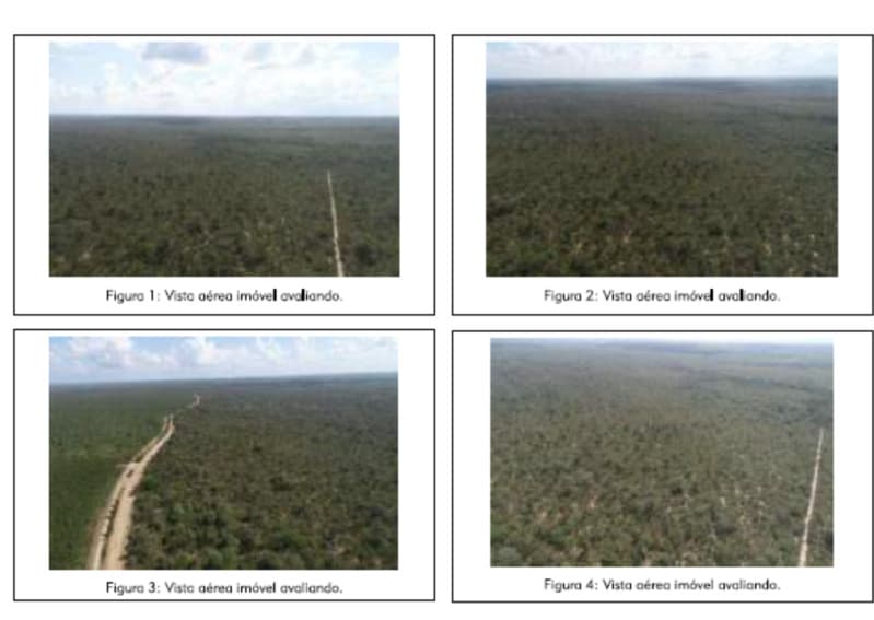 Foto 3 de 5: Area Rural em leilão em Belágua - MA — LOTE 004 Uma Gleba de Terras com 1.888,52ha em Belágua/MA