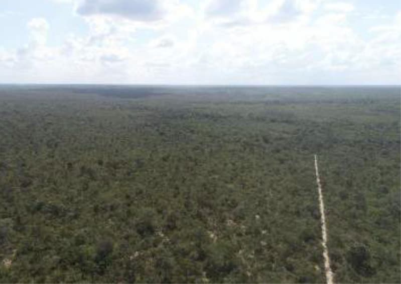 Foto 1 de 5: Area Rural em leilão em Belágua - MA — LOTE 004 Uma Gleba de Terras com 1.888,52ha em Belágua/MA