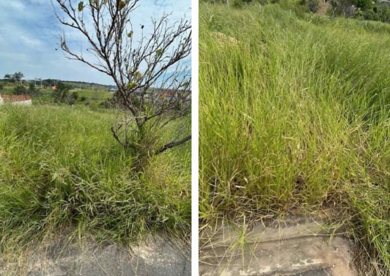 Foto 1 de 2: Terreno em leilão em Itu - SP, bairro Jardim Monte Rei — LOTE 001 Terreno de 218,45m² no Jd. Monte Rei em Itu/SP