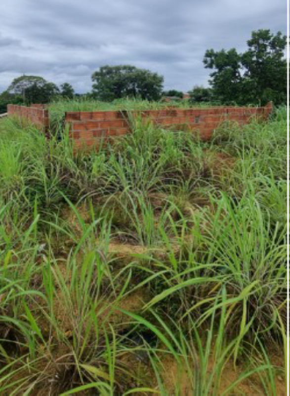 Terreno em leilão em Palmas - TO — LOTE 001 Direito possessório de imóvel denominado Lote 10 Quadra 41, Loteamento Machado, Palmas, Toc