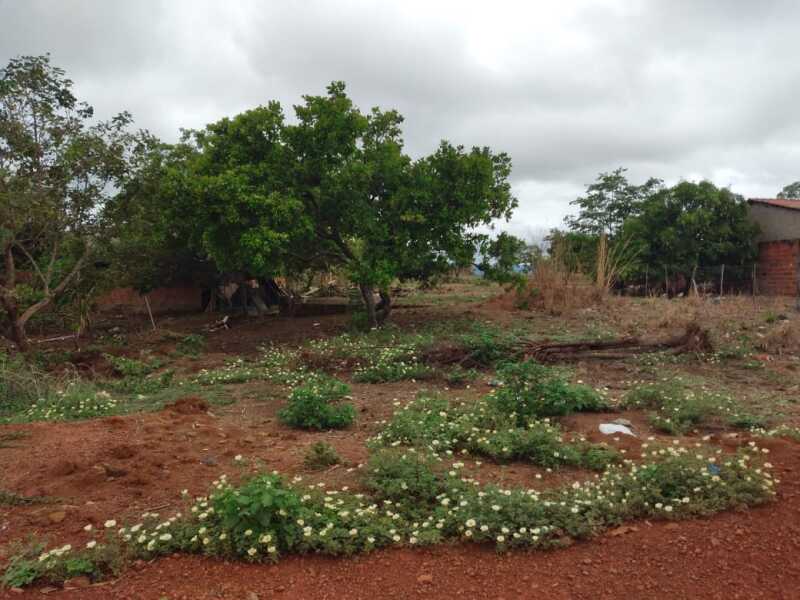 Foto 1 de 3: Terreno em leilão em Palmas - TO — LOTE 001 Lote no Morada do Sol em Palmas/TO