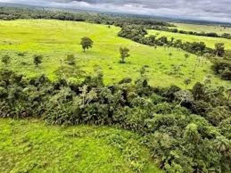 Area Rural em leilão em Formoso Do Araguaia - TO — LOTE 001 FAZENDA VENEZA, com a Área de 183,71.06 ha, do Loteamento Javaezinho, município de Formoso
