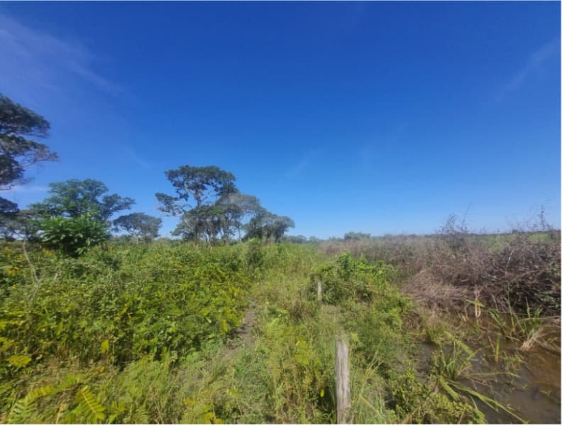 Foto 3 de 13: Area Rural em leilão em Formoso Do Araguaia - TO — LOTE 001 FAZENDA VENEZA, com a Área de 183,71.06 ha, do Loteamento Javaezinho, município de Formoso