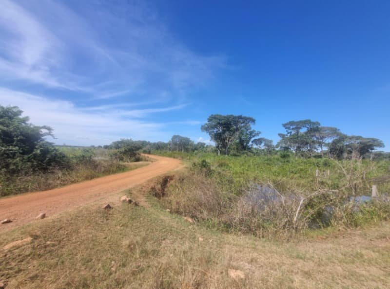 Foto 4 de 13: Area Rural em leilão em Formoso Do Araguaia - TO — LOTE 001 FAZENDA VENEZA, com a Área de 183,71.06 ha, do Loteamento Javaezinho, município de Formoso