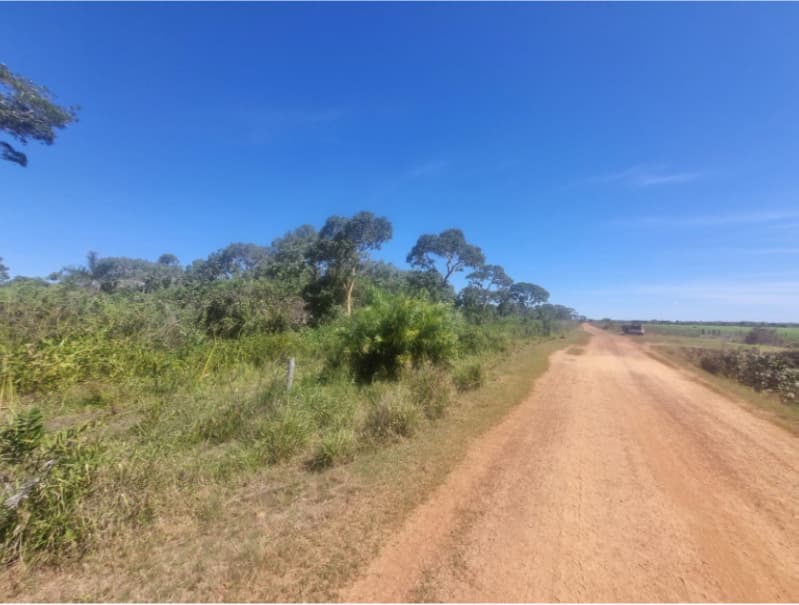 Foto 7 de 13: Area Rural em leilão em Formoso Do Araguaia - TO — LOTE 001 FAZENDA VENEZA, com a Área de 183,71.06 ha, do Loteamento Javaezinho, município de Formoso