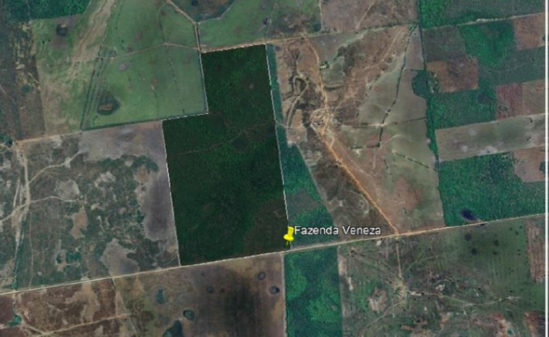 Foto 12 de 13: Area Rural em leilão em Formoso Do Araguaia - TO — LOTE 001 FAZENDA VENEZA, com a Área de 183,71.06 ha, do Loteamento Javaezinho, município de Formoso