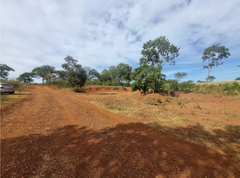 Foto 21 de 22: Area Rural em leilão em Formoso Do Araguaia - TO — LOTE 002 fazenda Estância Eloy Loteamento Pato Assado, mendindo 573,40.71 ha em Formoso do Araguaia/