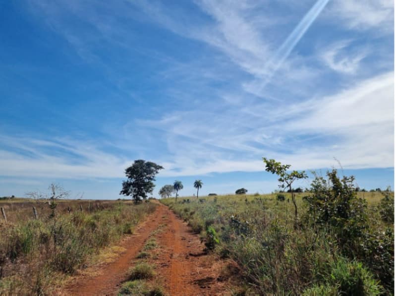 Foto 5 de 22: Area Rural em leilão em Formoso Do Araguaia - TO — LOTE 002 fazenda Estância Eloy Loteamento Pato Assado, mendindo 573,40.71 ha em Formoso do Araguaia/