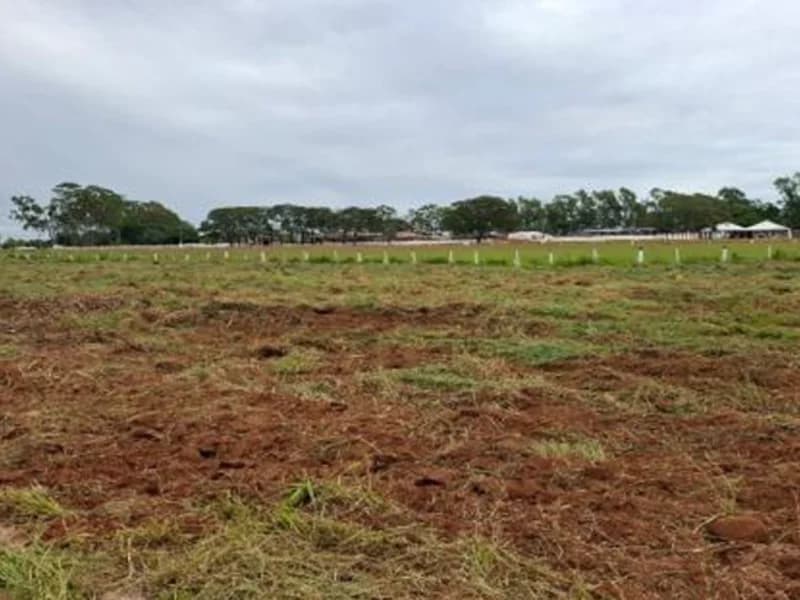 Foto 5 de 10: Terreno em leilão em Amambai - MS, bairro Frac da Chácara — Terreno - Amambaí - MS