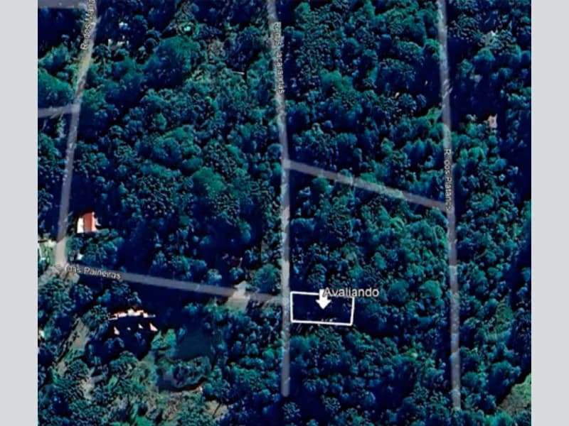 Foto 2 de 2: Terreno em leilão em São Francisco De Paula - RS — Terreno - São Francisco de Paula - RS