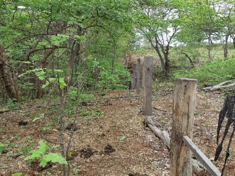 Foto 2 de 12: Terreno em leilão em Pedras De Maria Da Cruz - MG — Terreno Pedras de Maria da Cruz MG