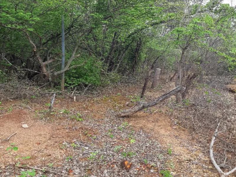 Foto 1 de 12: Terreno em leilão em Pedras De Maria Da Cruz - MG — Terreno Pedras de Maria da Cruz MG