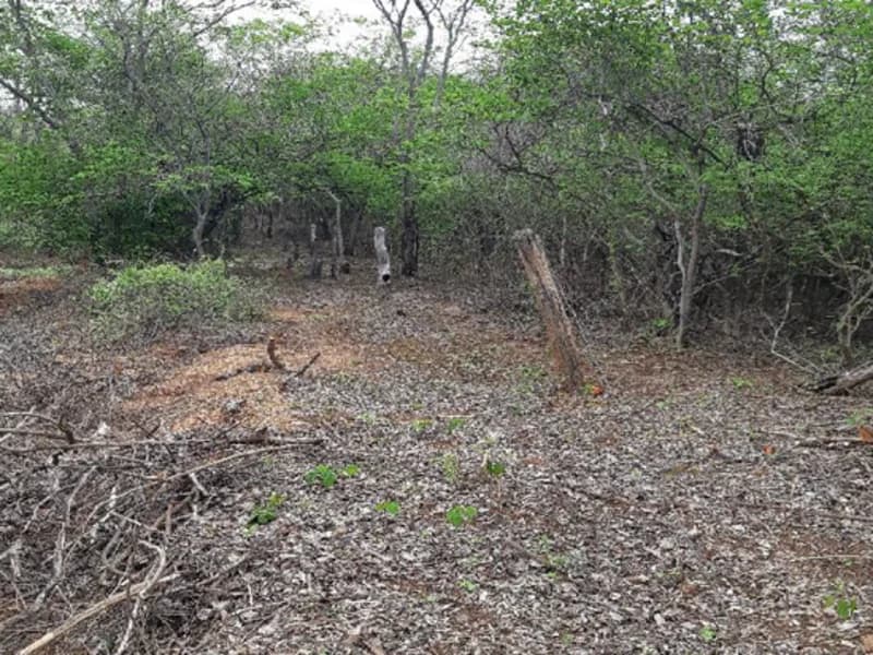Foto 3 de 12: Terreno em leilão em Pedras De Maria Da Cruz - MG — Terreno Pedras de Maria da Cruz MG