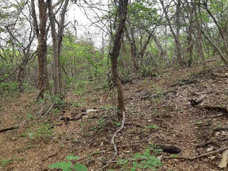 Foto 4 de 12: Terreno em leilão em Pedras De Maria Da Cruz - MG — Terreno Pedras de Maria da Cruz MG