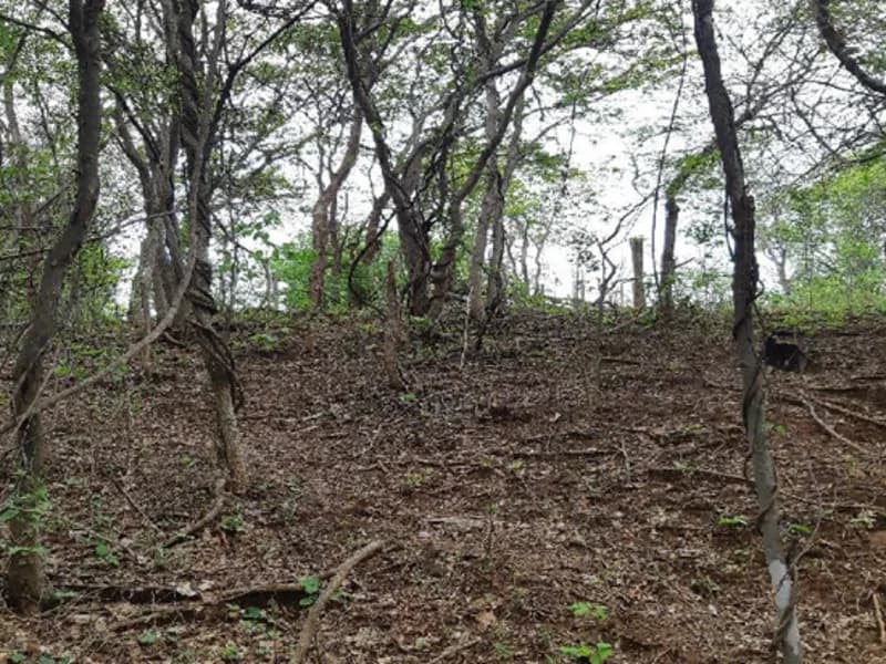 Foto 9 de 12: Terreno em leilão em Pedras De Maria Da Cruz - MG — Terreno Pedras de Maria da Cruz MG