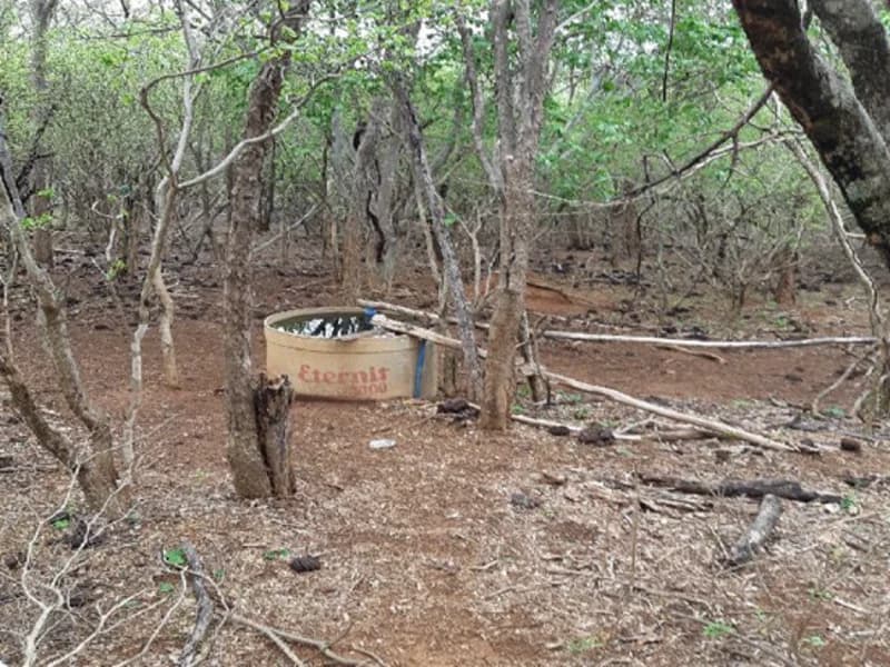 Foto 6 de 12: Terreno em leilão em Pedras De Maria Da Cruz - MG — Terreno Pedras de Maria da Cruz MG